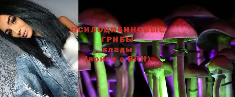 Псилоцибиновые грибы Magic Shrooms  Духовщина 